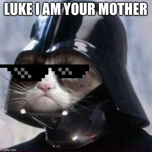Darth Grumpy Cat | LUKE I AM YOUR MOTHER | image tagged in darth grumpy cat | made w/ Imgflip meme maker