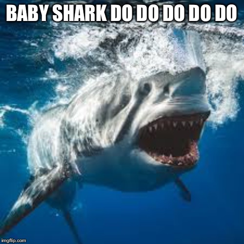 Mommy shark do do do do do | BABY SHARK DO DO DO DO DO | image tagged in mommy shark do do do do do | made w/ Imgflip meme maker