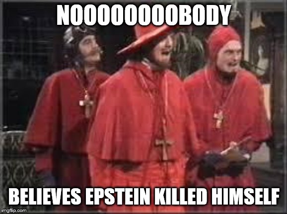 OK, there's probably some dumbass who does. | NOOOOOOOOBODY; BELIEVES EPSTEIN KILLED HIMSELF | image tagged in spanish inquisition,funny memes,jeffrey epstein,politics,puppies and kittens | made w/ Imgflip meme maker