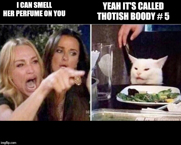 Crying girls and Cat | I CAN SMELL HER PERFUME ON YOU; YEAH IT'S CALLED THOTISH BOODY # 5 | image tagged in crying girls and cat | made w/ Imgflip meme maker