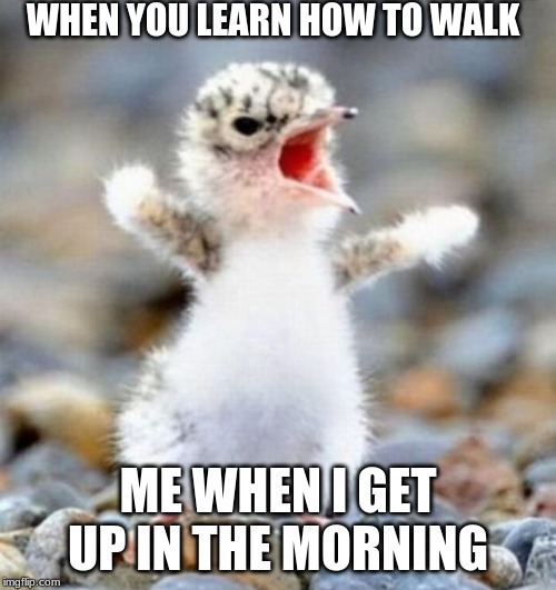 Early Bird!!! | WHEN YOU LEARN HOW TO WALK; ME WHEN I GET UP IN THE MORNING | image tagged in early bird | made w/ Imgflip meme maker