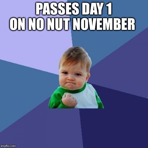 Success Kid Meme | PASSES DAY 1 ON NO NUT NOVEMBER | image tagged in memes,success kid | made w/ Imgflip meme maker