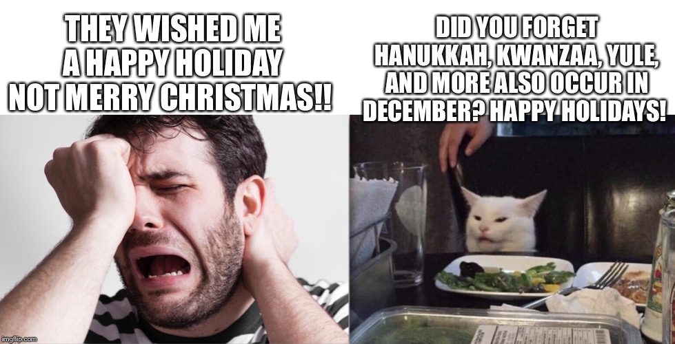 Happy Holidays | DID YOU FORGET HANUKKAH, KWANZAA, YULE, AND MORE ALSO OCCUR IN DECEMBER? HAPPY HOLIDAYS! THEY WISHED ME A HAPPY HOLIDAY NOT MERRY CHRISTMAS!! | image tagged in guy wines at cat,holidays,inclusive,tis the season,hanukkah,yule | made w/ Imgflip meme maker
