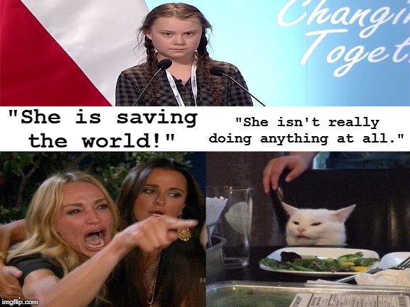 I hate to burst some people's bubbles, but this is the truth. | "She isn't really doing anything at all."; "She is saving the world!" | image tagged in greta thunberg,woman yelling at cat,liberal logic,liberal lunacy,memes | made w/ Imgflip meme maker