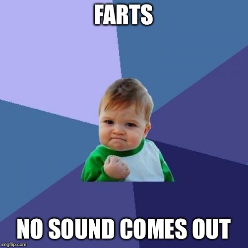 Success Kid Meme | FARTS; NO SOUND COMES OUT | image tagged in memes,success kid | made w/ Imgflip meme maker