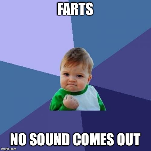 Success Kid | FARTS; NO SOUND COMES OUT | image tagged in memes,success kid | made w/ Imgflip meme maker