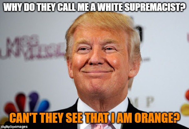 Donald trump approves | WHY DO THEY CALL ME A WHITE SUPREMACIST? CAN'T THEY SEE THAT I AM ORANGE? | image tagged in donald trump approves | made w/ Imgflip meme maker