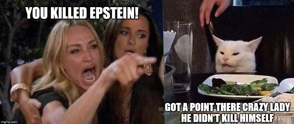 woman yelling at cat | YOU KILLED EPSTEIN! GOT A POINT THERE CRAZY LADY
HE DIDN'T KILL HIMSELF | image tagged in woman yelling at cat | made w/ Imgflip meme maker