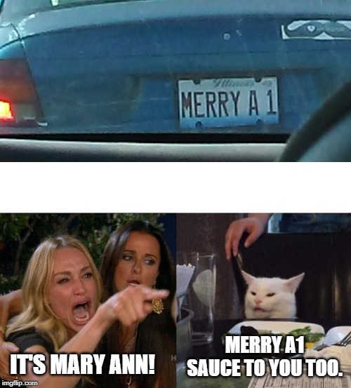 MERRY A1 SAUCE TO YOU TOO. IT'S MARY ANN! | image tagged in memes,woman yelling at cat | made w/ Imgflip meme maker