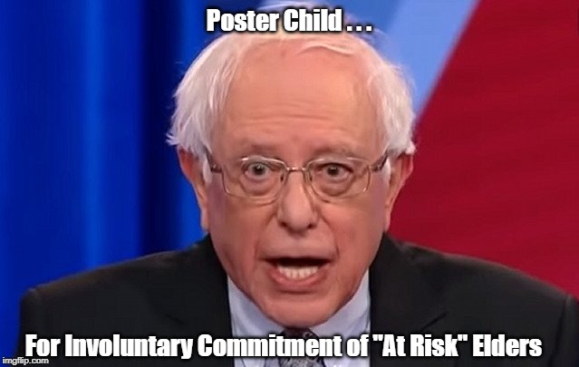 Crazed Elder | Poster Child . . . For Involuntary Commitment of "At Risk" Elders | image tagged in bernie sanders,democratic party,2020 elections | made w/ Imgflip meme maker