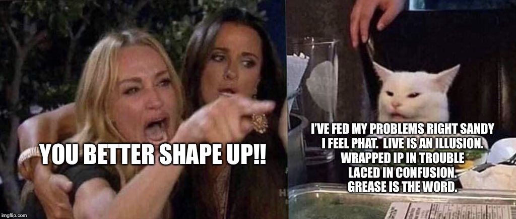woman yelling at cat | I’VE FED MY PROBLEMS RIGHT SANDY
I FEEL PHAT.  LIVE IS AN ILLUSION.
WRAPPED IP IN TROUBLE
LACED IN CONFUSION.
GREASE IS THE WORD. YOU BETTER SHAPE UP!! | image tagged in woman yelling at cat | made w/ Imgflip meme maker