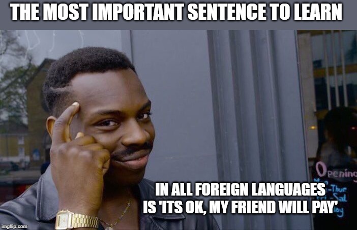 Roll Safe Think About It | THE MOST IMPORTANT SENTENCE TO LEARN; IN ALL FOREIGN LANGUAGES IS 'ITS OK, MY FRIEND WILL PAY' | image tagged in memes,roll safe think about it,fun | made w/ Imgflip meme maker