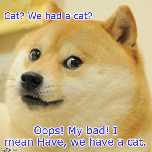 Cat? | Cat? We had a cat? Oops! My bad! I mean Have, we have a cat. | image tagged in memes,dog,cat,cute dogs,cute cats,evil pets | made w/ Imgflip meme maker
