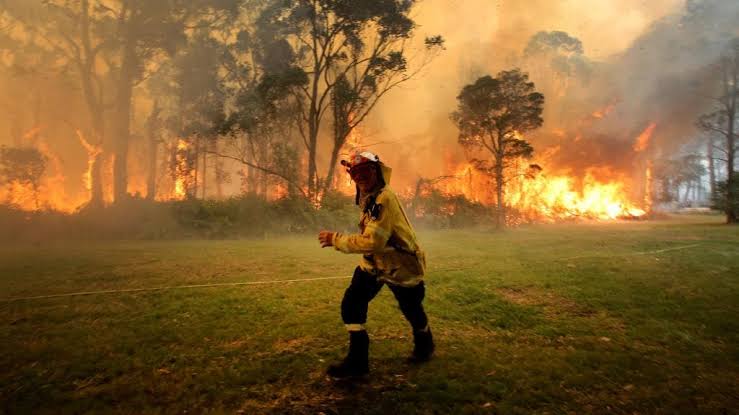 Nsw bush fires Blank Meme Template