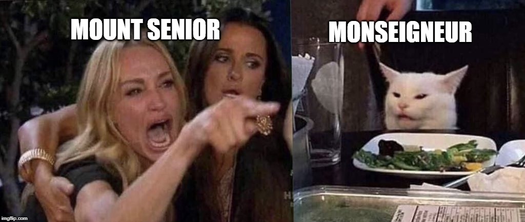 woman yelling at cat | MONSEIGNEUR; MOUNT SENIOR | image tagged in woman yelling at cat | made w/ Imgflip meme maker