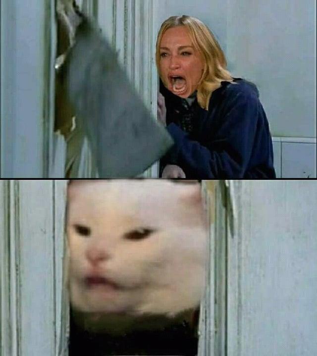 High Quality shining cat crossover Blank Meme Template