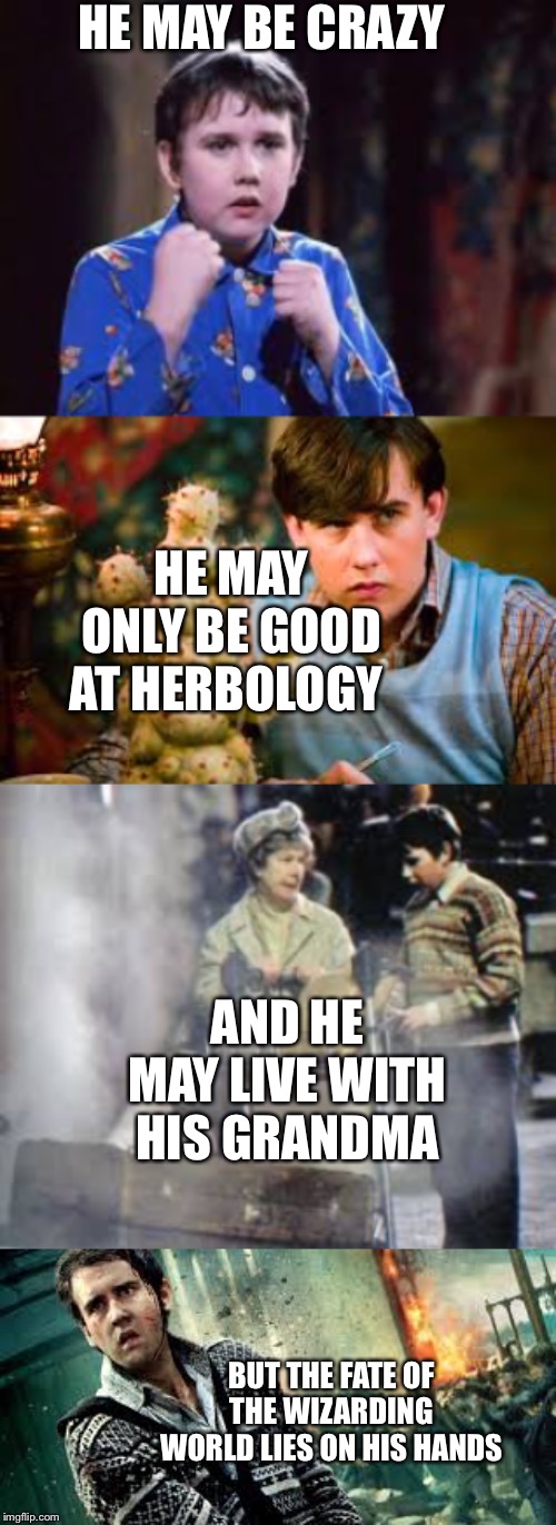 HE MAY BE CRAZY; HE MAY ONLY BE GOOD AT HERBOLOGY; AND HE MAY LIVE WITH HIS GRANDMA; BUT THE FATE OF THE WIZARDING WORLD LIES ON HIS HANDS | made w/ Imgflip meme maker