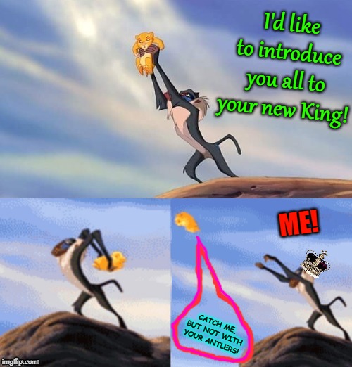 Simba Rafiki Lion King  | I'd like to introduce you all to your new King! ME! CATCH ME, BUT NOT WITH YOUR ANTLERS! | image tagged in simba rafiki lion king | made w/ Imgflip meme maker