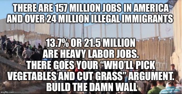 Illegal Immigrants | THERE ARE 157 MILLION JOBS IN AMERICA AND OVER 24 MILLION ILLEGAL IMMIGRANTS; 13.7% OR 21.5 MILLION ARE HEAVY LABOR JOBS. THERE GOES YOUR “WHO’LL PICK VEGETABLES AND CUT GRASS” ARGUMENT.
 BUILD THE DAMN WALL | image tagged in illegal immigrants,border wall,funny memes,illegal immigration,liberal logic | made w/ Imgflip meme maker