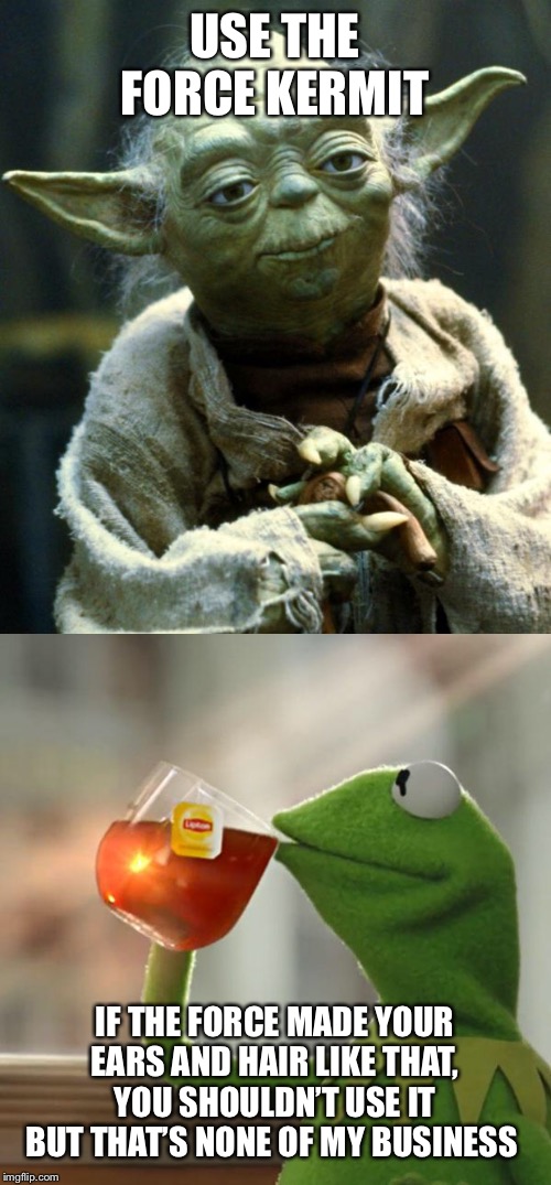 USE THE FORCE KERMIT; IF THE FORCE MADE YOUR EARS AND HAIR LIKE THAT, YOU SHOULDN’T USE IT
BUT THAT’S NONE OF MY BUSINESS | image tagged in memes,star wars yoda,but thats none of my business,big ears | made w/ Imgflip meme maker