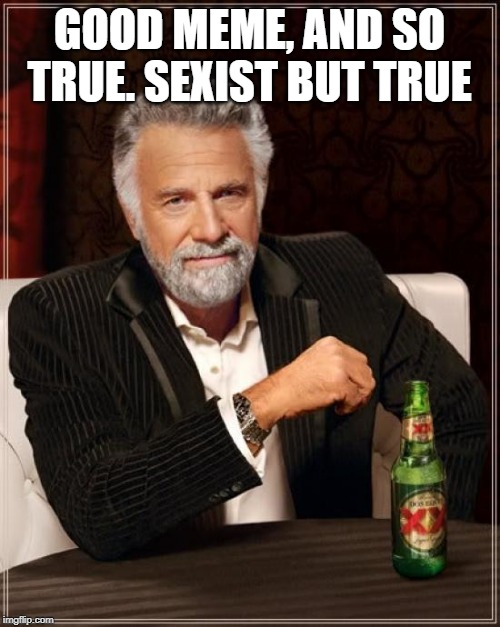 The Most Interesting Man In The World Meme | GOOD MEME, AND SO TRUE. SEXIST BUT TRUE | image tagged in memes,the most interesting man in the world | made w/ Imgflip meme maker