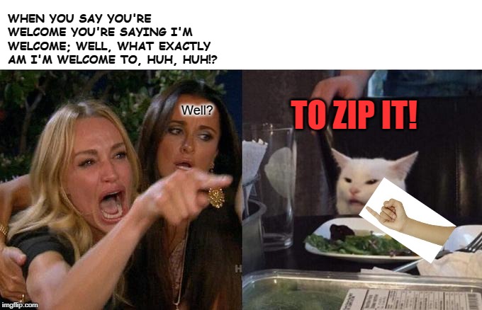 Woman Yelling At Cat Meme | WHEN YOU SAY YOU'RE WELCOME YOU'RE SAYING I'M WELCOME; WELL, WHAT EXACTLY AM I'M WELCOME TO, HUH, HUH!? TO ZIP IT! Well? | image tagged in memes,woman yelling at cat | made w/ Imgflip meme maker