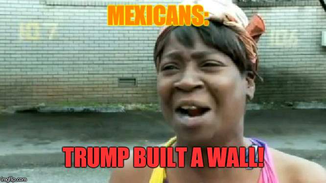 Ain't Nobody Got Time For That | MEXICANS:; TRUMP BUILT A WALL! | image tagged in memes,aint nobody got time for that | made w/ Imgflip meme maker