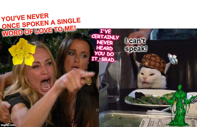 Woman Yelling At Cat Meme | YOU'VE NEVER ONCE SPOKEN A SINGLE WORD OF LOVE TO ME! I'VE CERTAINLY NEVER HEARD YOU DO IT, BRAD. I can't speak! | image tagged in memes,woman yelling at cat | made w/ Imgflip meme maker