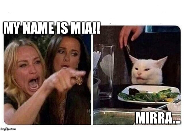 Cat at Dinner | MY NAME IS MIA!! MIRRA... | image tagged in cat at dinner | made w/ Imgflip meme maker