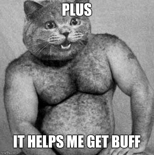sexy cat | PLUS IT HELPS ME GET BUFF | image tagged in sexy cat | made w/ Imgflip meme maker