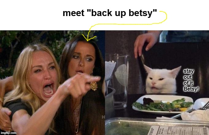 Woman Yelling At Cat Meme | meet "back up betsy"; stay out of it Betsy! | image tagged in memes,woman yelling at cat | made w/ Imgflip meme maker