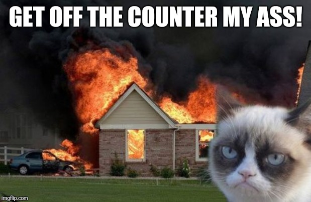 Burn Kitty | GET OFF THE COUNTER MY ASS! | image tagged in memes,burn kitty,grumpy cat | made w/ Imgflip meme maker