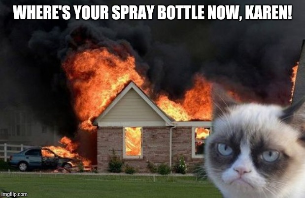 Burn Kitty | WHERE'S YOUR SPRAY BOTTLE NOW, KAREN! | image tagged in memes,burn kitty,grumpy cat | made w/ Imgflip meme maker