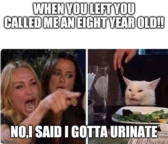 Lady screams at cat | WHEN YOU LEFT YOU CALLED ME AN EIGHT YEAR OLD!! NO,I SAID I GOTTA URINATE | image tagged in lady screams at cat | made w/ Imgflip meme maker