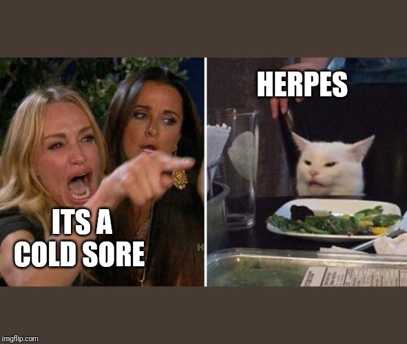 HERPES; ITS A COLD SORE | image tagged in two women yelling at a cat | made w/ Imgflip meme maker