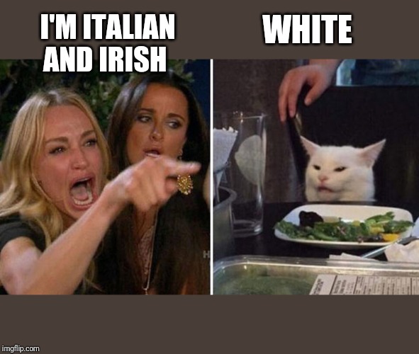 I'M ITALIAN AND IRISH; WHITE | image tagged in woman yelling at cat | made w/ Imgflip meme maker