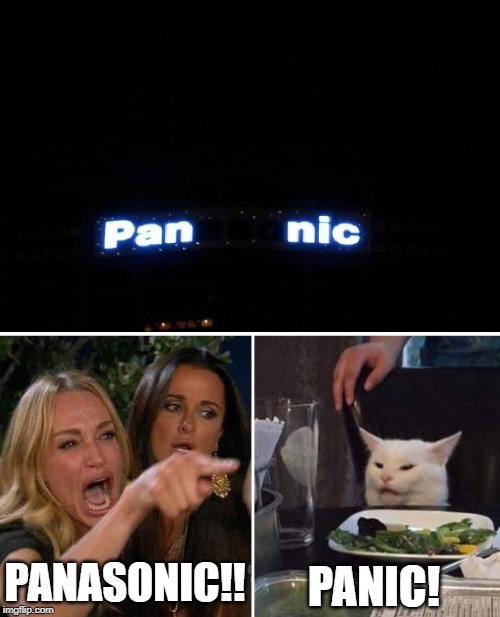 PANIC! PANASONIC!! | image tagged in woman yelling at cat | made w/ Imgflip meme maker