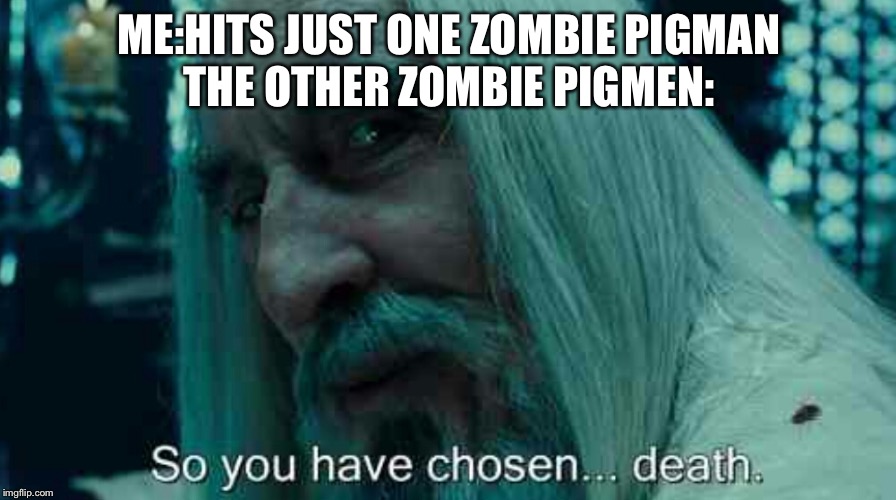 So you have chosen death | ME:HITS JUST ONE ZOMBIE PIGMAN
THE OTHER ZOMBIE PIGMEN: | image tagged in so you have chosen death | made w/ Imgflip meme maker