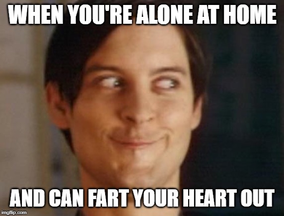 Spiderman Peter Parker Meme | WHEN YOU'RE ALONE AT HOME; AND CAN FART YOUR HEART OUT | image tagged in memes,spiderman peter parker | made w/ Imgflip meme maker