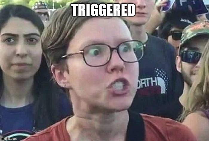 Triggered Liberal | TRIGGERED | image tagged in triggered liberal | made w/ Imgflip meme maker