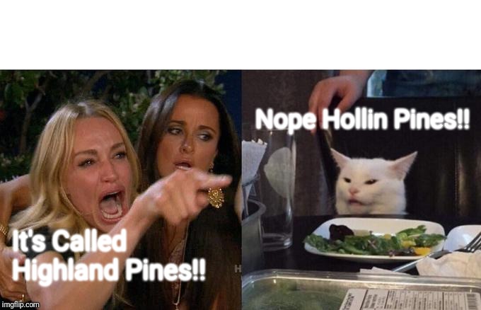 Woman Yelling At Cat Meme | Nope Hollin Pines!! It's Called Highland Pines!! | image tagged in memes,woman yelling at cat | made w/ Imgflip meme maker