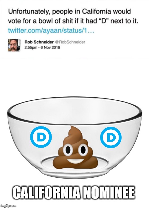 HE'LL GET MORE VOTES THAN NANCY PELOSI | CALIFORNIA NOMINEE | image tagged in memes,california,democrat | made w/ Imgflip meme maker