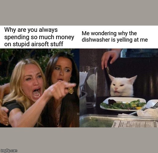 Woman Yelling At Cat Meme | Why are you always spending so much money on stupid airsoft stuff; Me wondering why the dishwasher is yelling at me | image tagged in memes,woman yelling at cat,airsoft | made w/ Imgflip meme maker