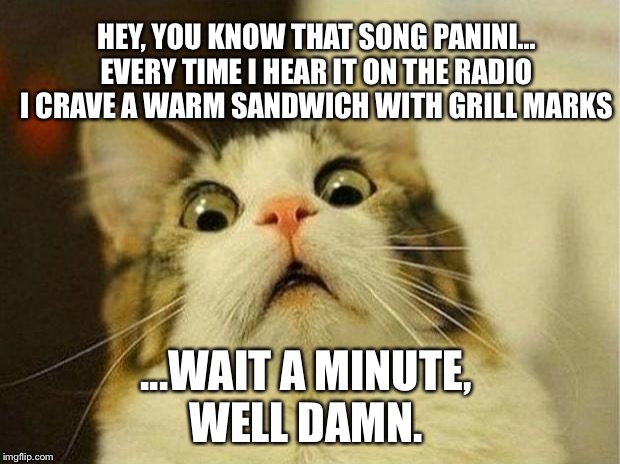 Scared Cat Meme | HEY, YOU KNOW THAT SONG PANINI...
EVERY TIME I HEAR IT ON THE RADIO I CRAVE A WARM SANDWICH WITH GRILL MARKS; ...WAIT A MINUTE, 
WELL DAMN. | image tagged in memes,scared cat | made w/ Imgflip meme maker