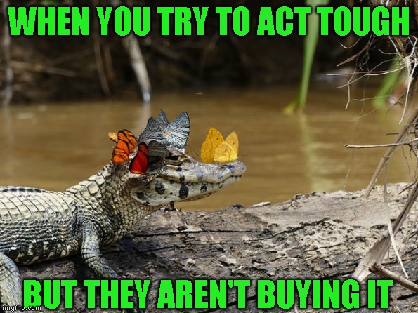 Made him cry, but don't worry they were crocodile tears | WHEN YOU TRY TO ACT TOUGH; BUT THEY AREN'T BUYING IT | image tagged in bad day,just a joke | made w/ Imgflip meme maker