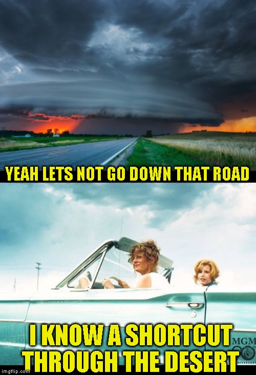 Title? I don't need no stinking title! | YEAH LETS NOT GO DOWN THAT ROAD; I KNOW A SHORTCUT THROUGH THE DESERT | image tagged in thelma and louise,can not think of a title | made w/ Imgflip meme maker