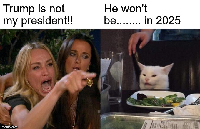 Woman Yelling At Cat | Trump is not my president!! He won't be........ in 2025 | image tagged in memes,woman yelling at cat | made w/ Imgflip meme maker