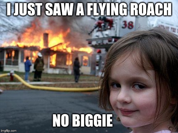 Disaster Girl | I JUST SAW A FLYING ROACH; NO BIGGIE | image tagged in memes,disaster girl,roach,flying roach | made w/ Imgflip meme maker