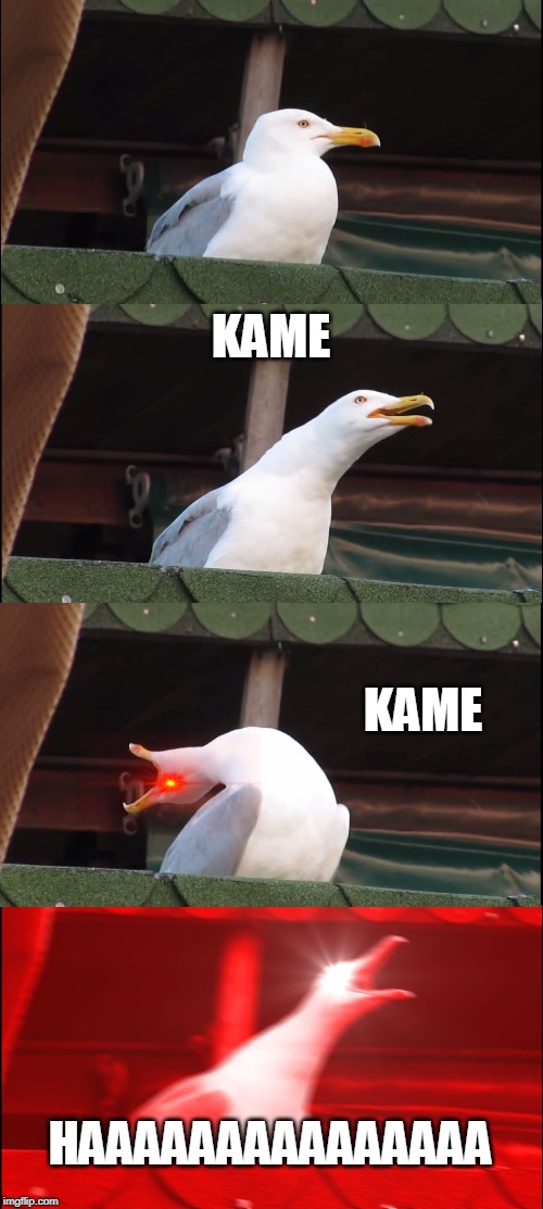 Inhaling Seagull | KAME; KAME; HAAAAAAAAAAAAAAA | image tagged in memes,inhaling seagull | made w/ Imgflip meme maker