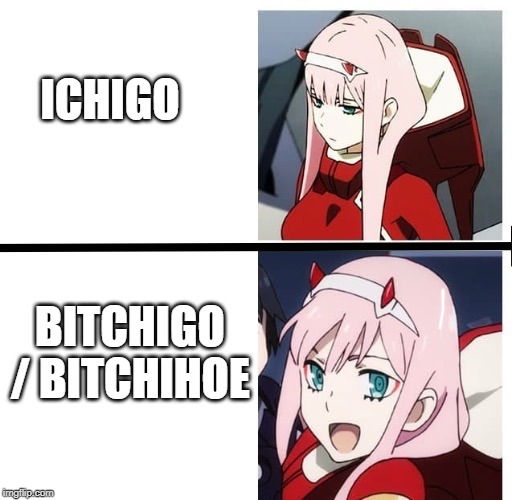 Zero Two Meme | ICHIGO; BITCHIGO / BITCHIHOE | image tagged in zero two meme | made w/ Imgflip meme maker